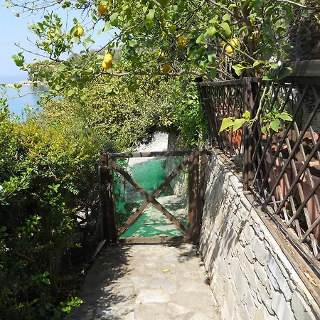 Apartament Electra Chorto