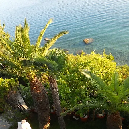 Electra Apartament *