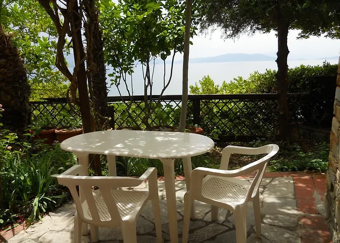 Electra Apartament *