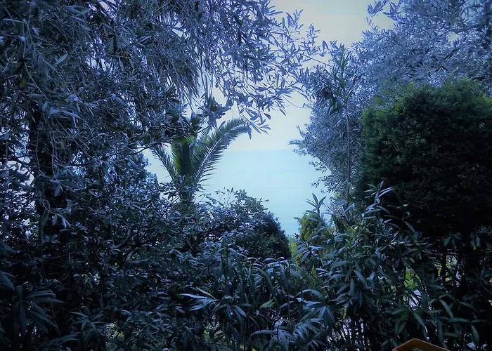 Apartament Electra Chorto