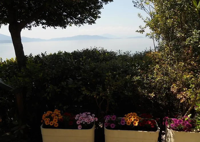 Apartament Electra *